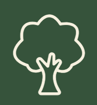 SEN Support Studio tree symbol